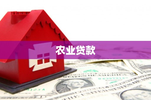三亚农业贷款