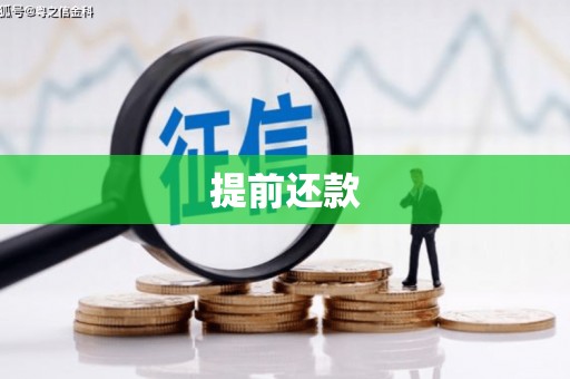 三亚提前还款