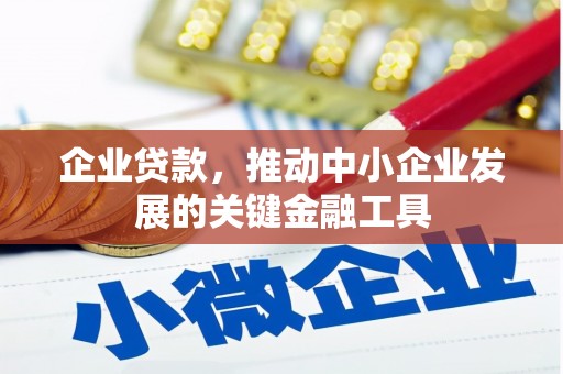 三亚企业贷款，推动中小企业发展的关键金融工具