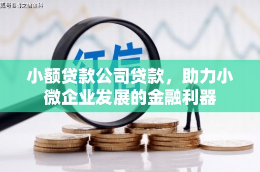 三亚小额贷款公司贷款，助力小微企业发展的金融利器