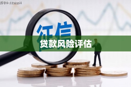 三亚贷款风险评估