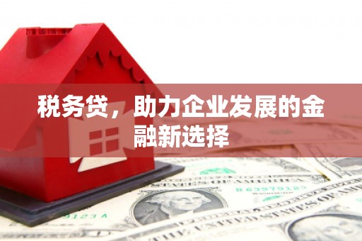 三亚税务贷，助力企业发展的金融新选择