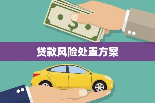 三亚贷款风险处置方案