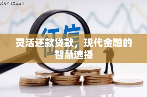 三亚灵活还款贷款，现代金融的智慧选择