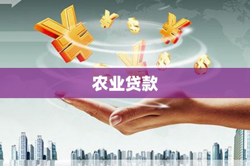 三亚农业贷款