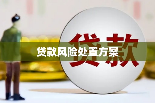 三亚贷款风险处置方案