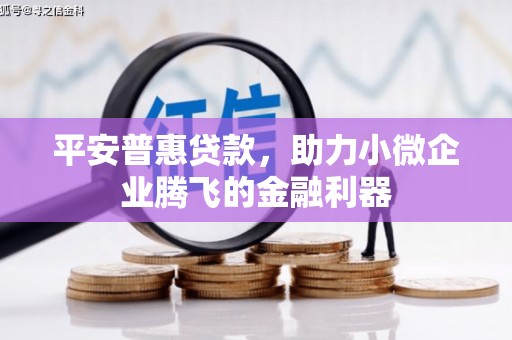 三亚平安普惠贷款，助力小微企业腾飞的金融利器