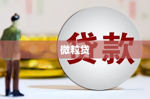三亚微粒贷