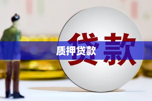 三亚质押贷款