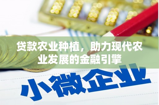 三亚贷款农业种植，助力现代农业发展的金融引擎