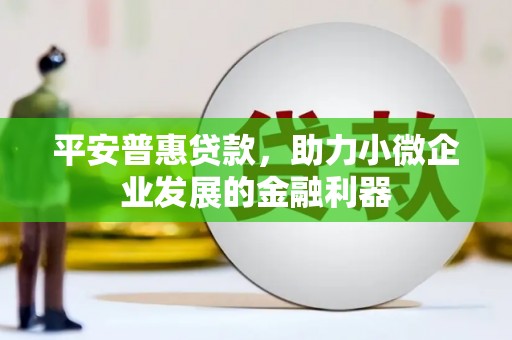 三亚平安普惠贷款，助力小微企业发展的金融利器