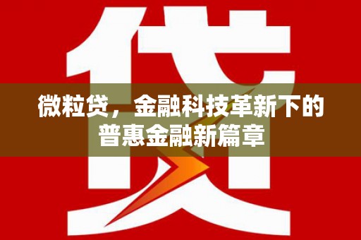 三亚微粒贷，金融科技革新下的普惠金融新篇章