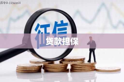 三亚贷款担保