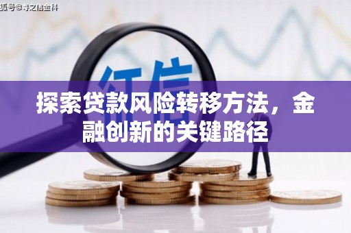 三亚探索贷款风险转移方法，金融创新的关键路径
