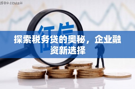 三亚探索税务贷的奥秘，企业融资新选择