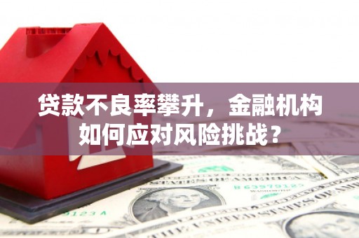 三亚贷款不良率攀升，金融机构如何应对风险挑战？