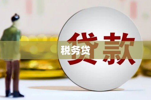三亚税务贷