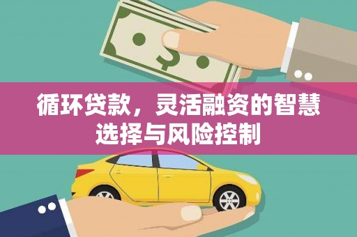 三亚循环贷款，灵活融资的智慧选择与风险控制
