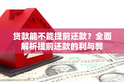三亚贷款能不能提前还款？全面解析提前还款的利与弊