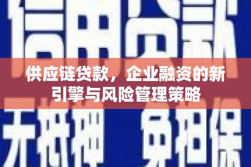 三亚供应链贷款，企业融资的新引擎与风险管理策略