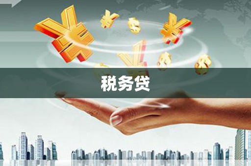 三亚税务贷