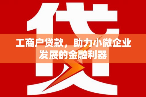 三亚工商户贷款，助力小微企业发展的金融利器