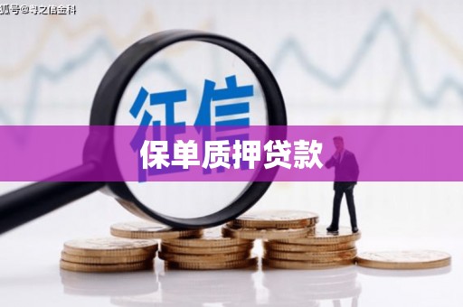 三亚保单质押贷款