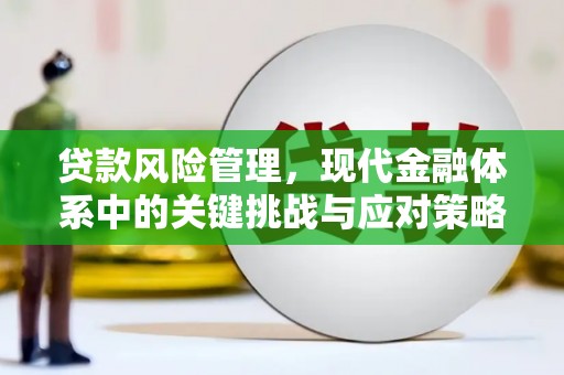 三亚贷款风险管理，现代金融体系中的关键挑战与应对策略