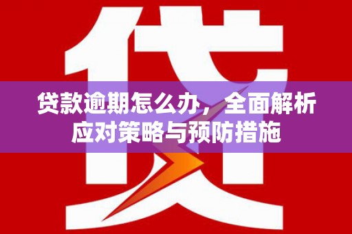 三亚贷款逾期怎么办，全面解析应对策略与预防措施