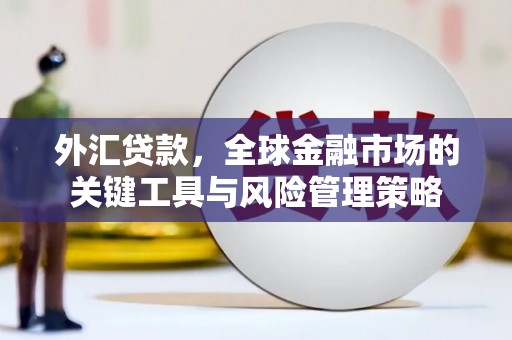三亚外汇贷款，全球金融市场的关键工具与风险管理策略