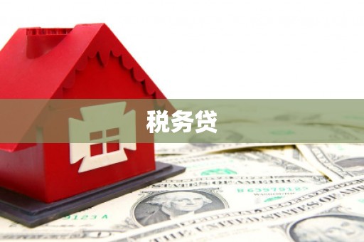 三亚税务贷