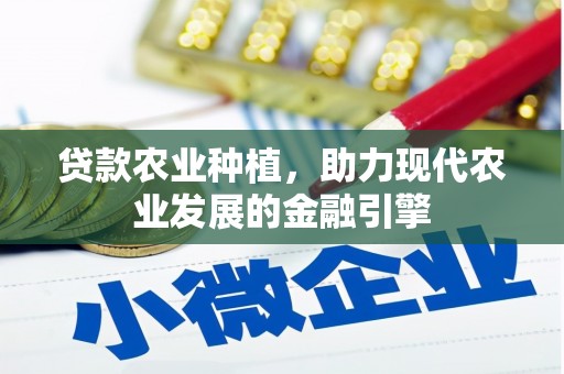 三亚贷款农业种植，助力现代农业发展的金融引擎