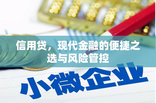 三亚信用贷，现代金融的便捷之选与风险管控