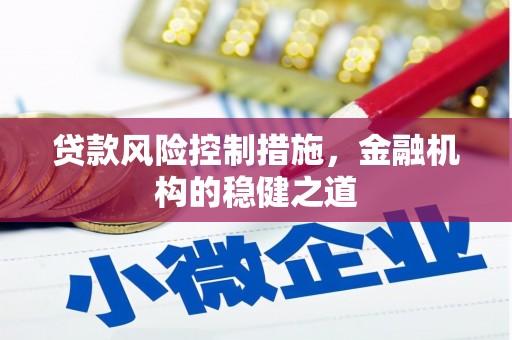 三亚贷款风险控制措施，金融机构的稳健之道