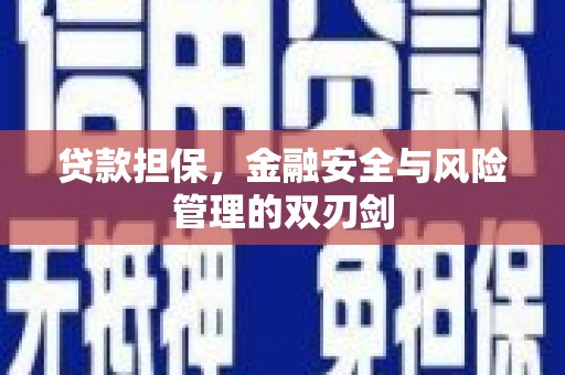 三亚贷款担保，金融安全与风险管理的双刃剑