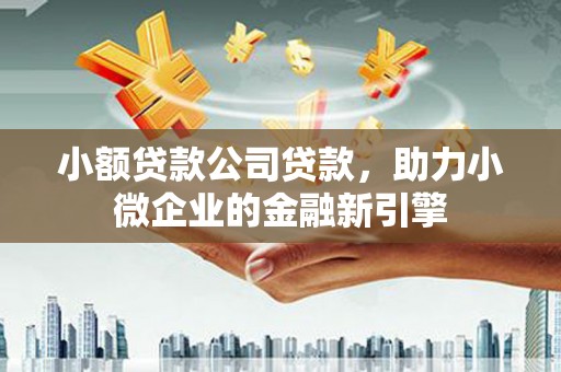 三亚小额贷款公司贷款，助力小微企业的金融新引擎