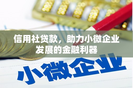 三亚信用社贷款，助力小微企业发展的金融利器