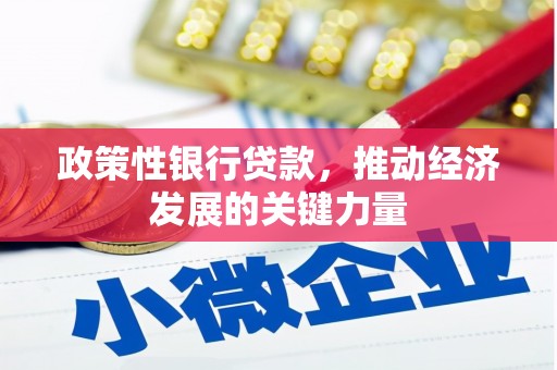 三亚政策性银行贷款，推动经济发展的关键力量