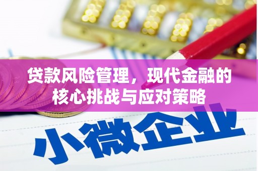 三亚贷款风险管理，现代金融的核心挑战与应对策略