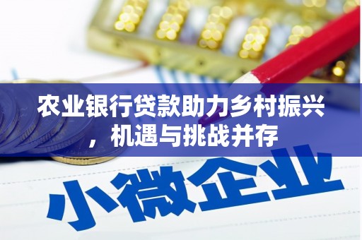 三亚农业银行贷款助力乡村振兴，机遇与挑战并存
