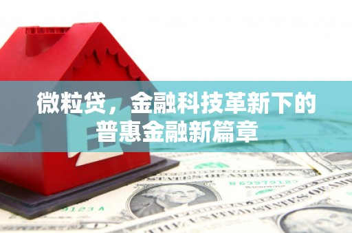 三亚微粒贷，金融科技革新下的普惠金融新篇章