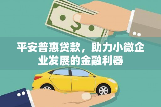 三亚平安普惠贷款，助力小微企业发展的金融利器