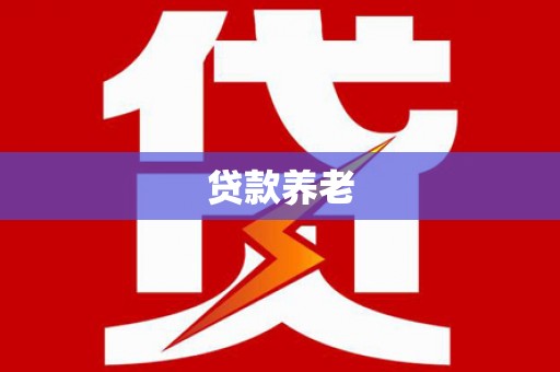 三亚贷款养老