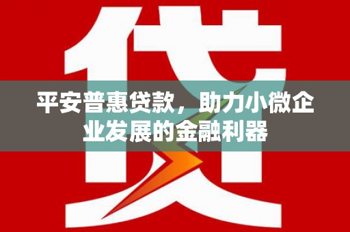 三亚平安普惠贷款，助力小微企业发展的金融利器
