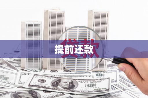 三亚提前还款