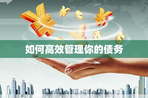 三亚如何高效管理你的债务
