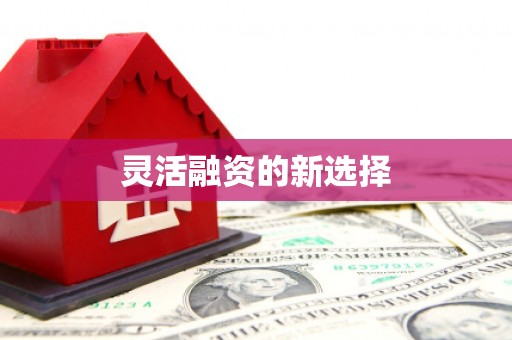 三亚灵活融资的新选择
