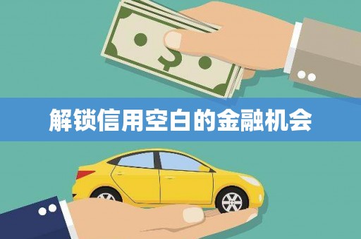 三亚解锁信用空白的金融机会