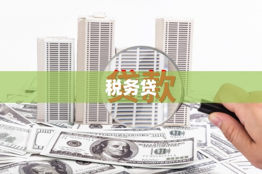 三亚税务贷