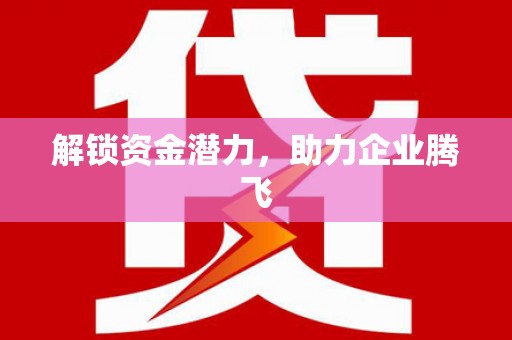 三亚解锁资金潜力，助力企业腾飞